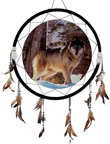 Wolf Staring in Snow Large Dream Catcher