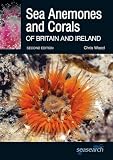Sea anemones and corals of Britian and Ireland