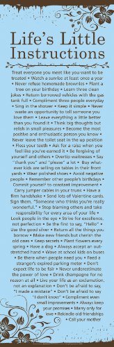 Life's Little Instructions Inspiriational Quote Poster Print 12x36