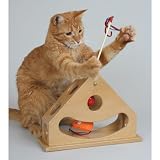 SmartCat 3836 Tick Tock Teaser