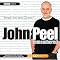 JOHN PEEL'S 1995 FESTIVE FIFTY PART 1 (50-26)