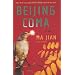 Beijing Coma