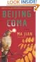 Beijing Coma: A Novel