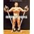 American Hunks: The Muscular Male Body in Popular Culture, 18601970