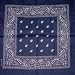 Surplus Bandana Paisley blau