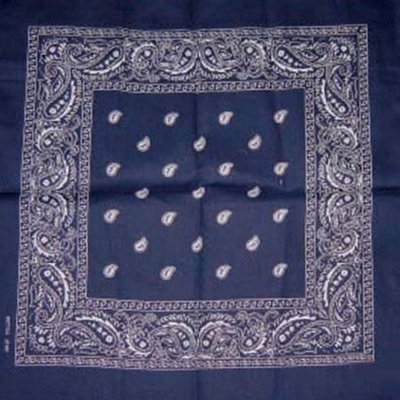 Surplus Bandana Paisley blau