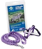 Petsafe Come With Me Kitty Harness and Bungee Leash, Medium, Lilac