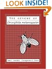 The Genome of Drosophila melanogaster