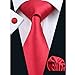 Hi-Tie Classic Necktie Set Solid Color Silk Ties for Men