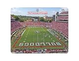 NCAA Georgia Bulldogs Sanford Stadium with Logo Full Color Print Deskpad