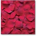 Wilton Red Rose Flower Petals
