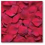Wilton Red Rose Flower Petals