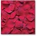 Wilton Red Rose Flower Petals
