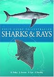 Field Guide to Australian Sharks and Rays
