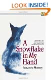 A Snowflake in My Hand
