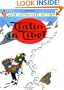 Tintin in Tibet (The Adventures of Tintin)