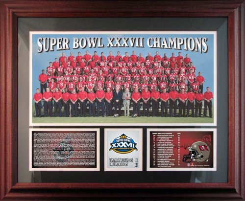 Tampa Bay Buccaneers Framed Healy Plaque - 2002 Super Bowl Champs