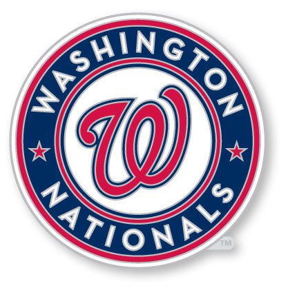 Washington Nationals Logo Pin