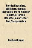 Pferde: Hauspferd, Wildpferd, Quagga, Przewalski-Pferd, Maultier, Maulesel, Tarpan, Hausesel, Asiatischer Esel, Steppenzebra
