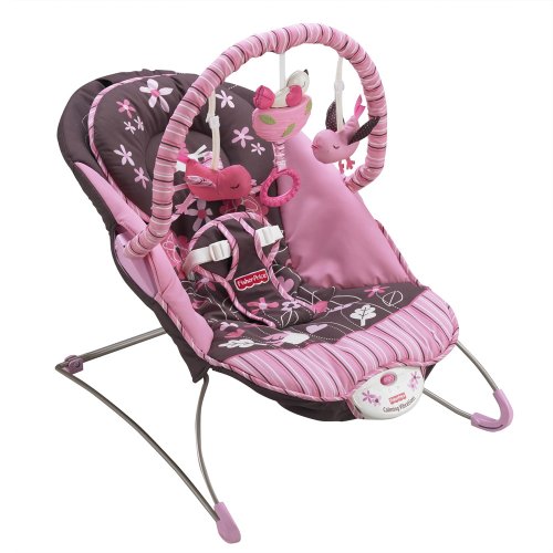 Fisher-Price Beautiful Garden Bouncer