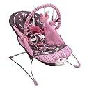 Fisher-Price Beautiful Garden Bouncer