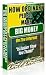 MAKING MONEY ONLINE Made Easy: How Ordinary People Make Big Money on the Internet