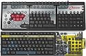 Ideazon Zboard Starter Kit and Counter Strike Bundle (PC)