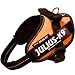 Julius K9 IDC Powergeschirr orange Gr��e: Mini