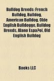 Bulldog Breeds: French Bulldog, Bulldog, American Bulldog, Olde English Bulldogge, Bulldog Breeds, Alano Espaol, Old English Bulldog