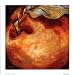 Juicy Peach Art Poster PRINT Nicole Etienne 7x7