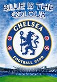 Ready Steady Bed 3D Lenticular Posters 45cm by 65cm!! Choice Of Designs!! Design Name & Size: 3D Chelsea Crest 45cm x 65cm