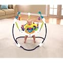 Ocean Wonders Jumperoo