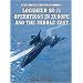 Lockheed SR-71 Operations in Europe and the Middle East (Combat Aircraft)