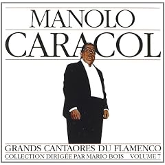 Flamenco Vol 7