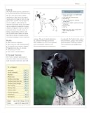 Dogs from A to Z (Compass Guides)