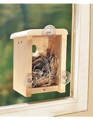 Window Nest Box