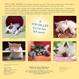 Just Cats 2009 Calendar (Just)