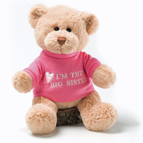 I'm The Big Sister Teddy Bear