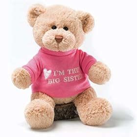  Gund Im The Big Sister Message 12 inch Bear Plush