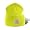Bright Lime