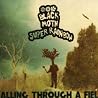 Image of album by Black Moth Super Rainbow