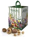 100 Flower Bulb Gift Box with 6 Different Bulb Varieties