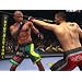 UFC Undisputed 2010 Undisputed UFC Sport sony playstation 3 sony PS3 2010 