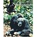 Essentials of Physical Anthropology (with InfoTrac )
