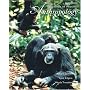 Essentials of Physical Anthropology (with InfoTrac )