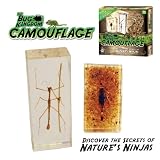 Real Insect: Camouflague Science Kit - Includes Genuine Scorpion and Stick Insect!by Discover with Dr. Cool