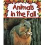 Animals in the Fall (Preparing for Winter)