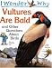 Book I Wonder Why Vultures Are Bald: and Other Questions About Birds (I Wonder Why)
