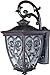 Maxim 40123CDOB Newbury VX 2-Light Outdoor Wall Lantern, Oriental Bronze Finish, Seedy Glass, CA Incandescent Incandescent Bulb , 100W Max., Dry Safety Rating, Standard Dimmable, Fabric Shade Material, 4600 Rated Lumens