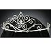 Rhinestone Tiara BASIC design